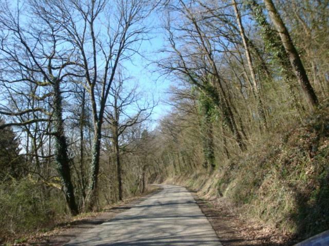 Le Poirier De Warre * Durbuy